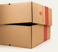 Bikeflip Box Pro Medium internal support detail